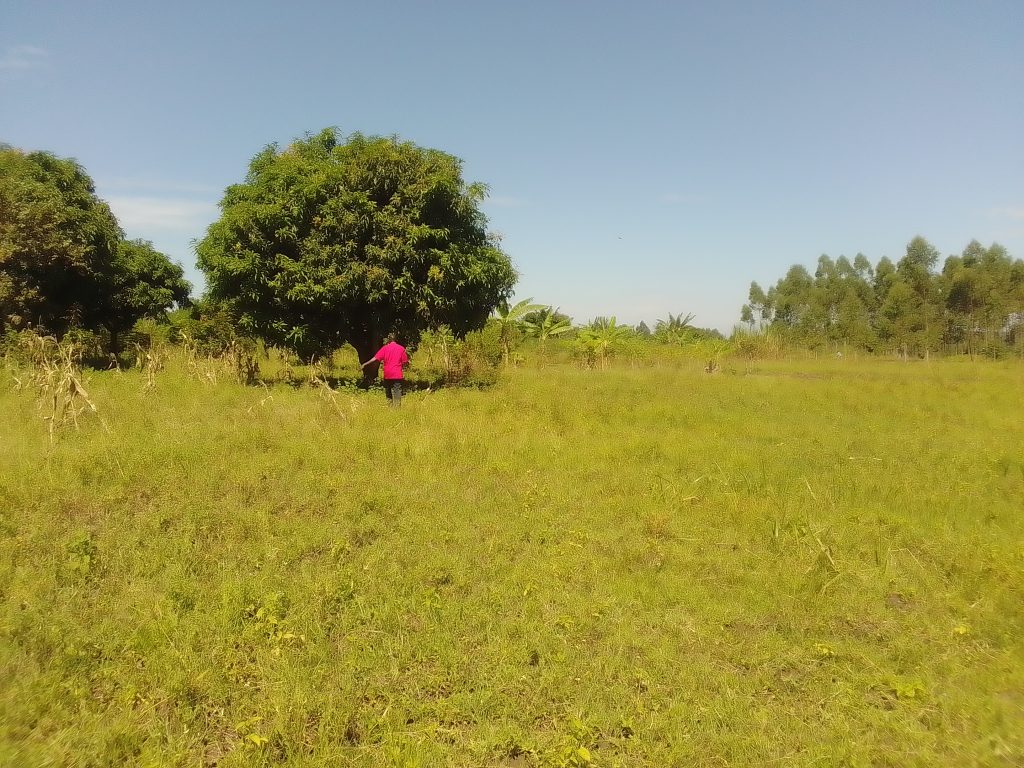 100*100Ft of land for sale at Nakalooke (kireka) Mbale city