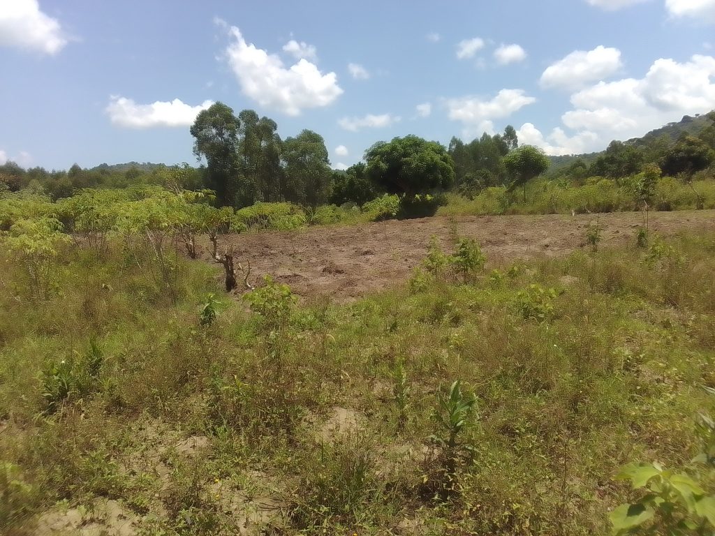 An Acre with a quarter of land for sale at Mudodo- Mbale City