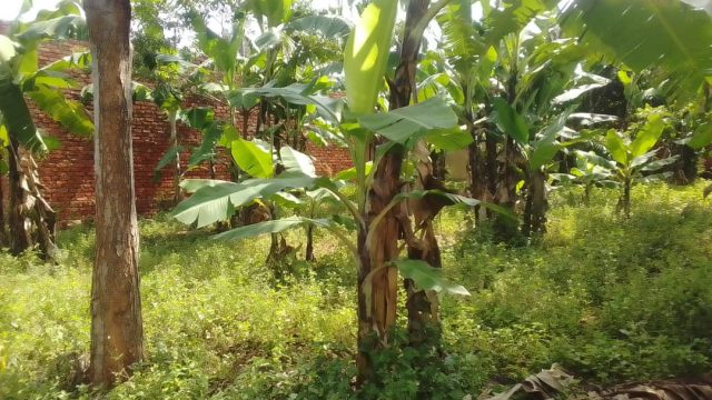 Land for sale located Namusi Mukuja cell