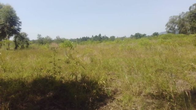 4 Acres of land available for sale at Kadebede Namagumba Mbale