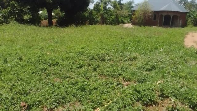 50*100ft of land for sale at Namunsi-Mbale