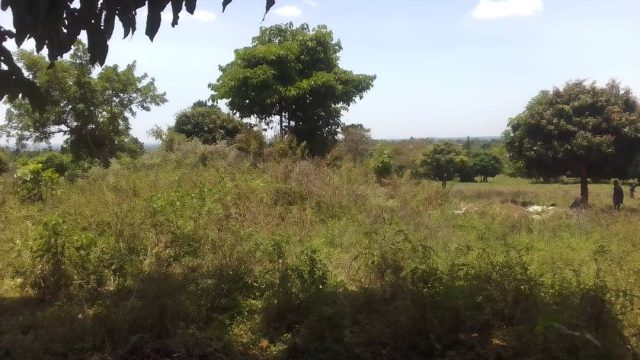 3 Acres of land for sale at Naburu -namunsi Mbale city