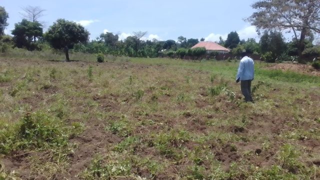 2 and half Acres of land for sale at  Waseleko cell Namunsi -Mbale