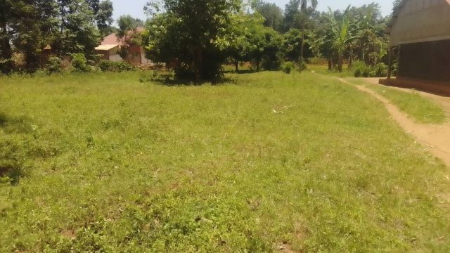 250*70ft of land for sale at Nakalooke