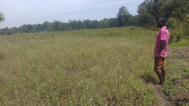 2 Acres of land located in Namagumba