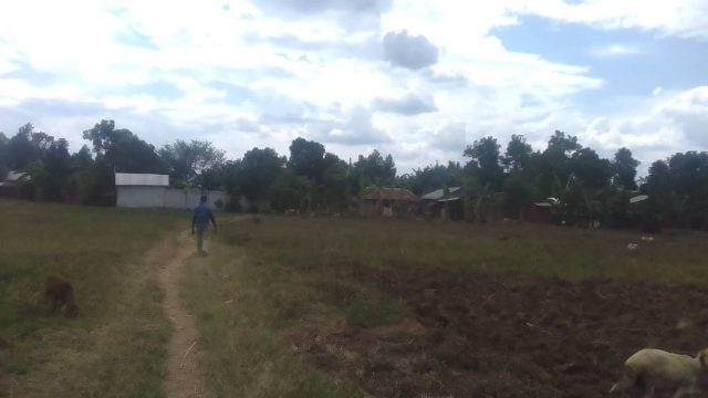 100*100ft of land for sale at Nakalooke Mbale