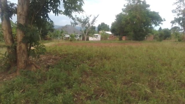 Two acres of land for sale at Nakaloke – Mbale