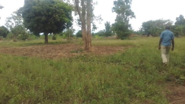 2 Acres of land for sale at Busamira Mbale city