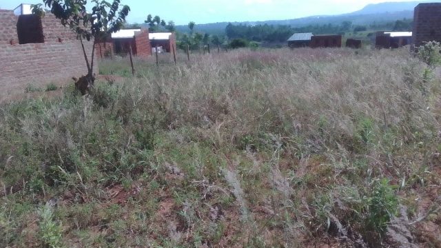 25ft*90ft land for sale Nakaloke Mbale