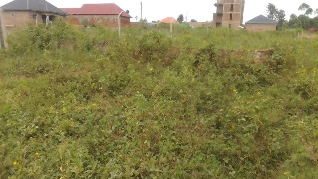 50ft*120ft land for sale at Nakaloke Mbale