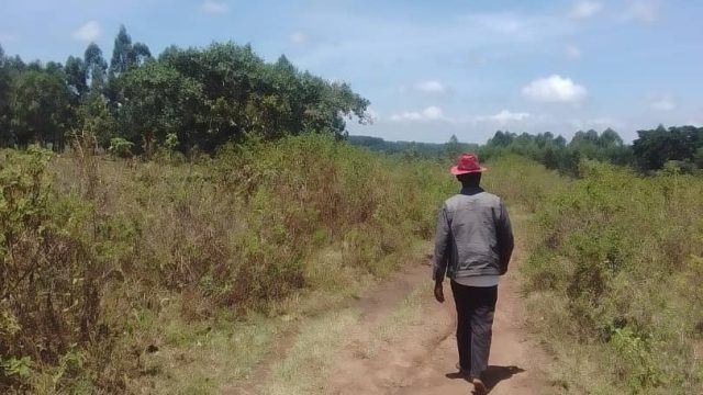 An Acre of land in Busoba- Buwalasi parish Mbale District