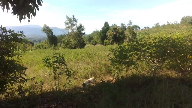 An Acre of land for sale in Busamira