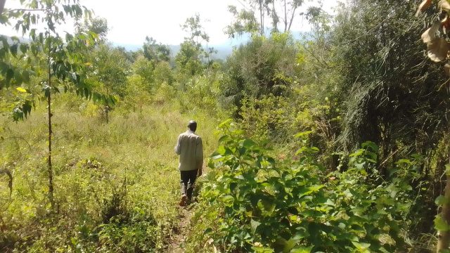 Two acres of land for sale in Busamira Mbale