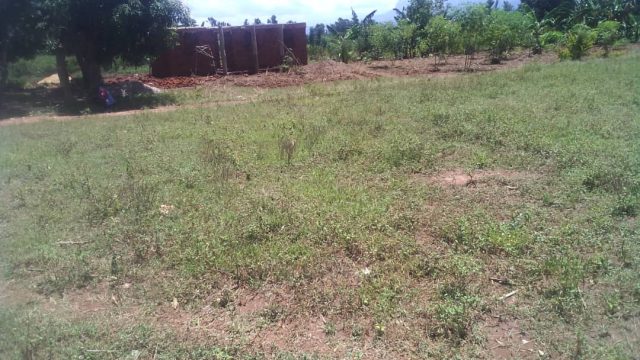 75ft*120ft land for sale in Busoba Mbale