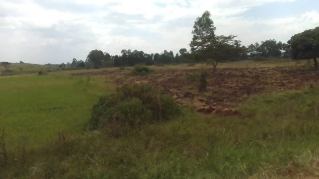 10 Acres of land for sale Kabwagasi Butembo district