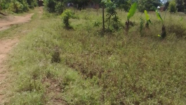 50ft by 40ft land for sale in Nakaloke Mbale