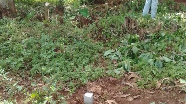 40ft by 50ft land for sale in Nakaloke Mbale