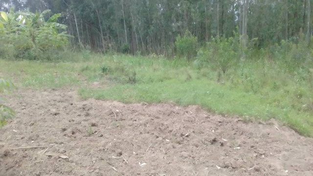 250*90ft of land for sale, located at busabira Mbale