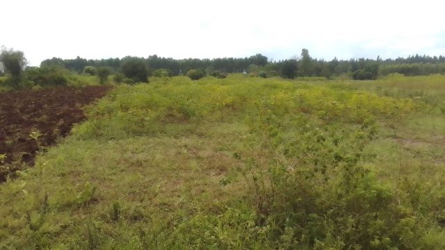 20 Acres in Kabwagasi Butembo district