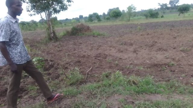 An Acre of land in Kabwagasi Butebo for Sale