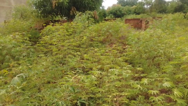 50ft*150ft land for sale in Kabwagasi trading center