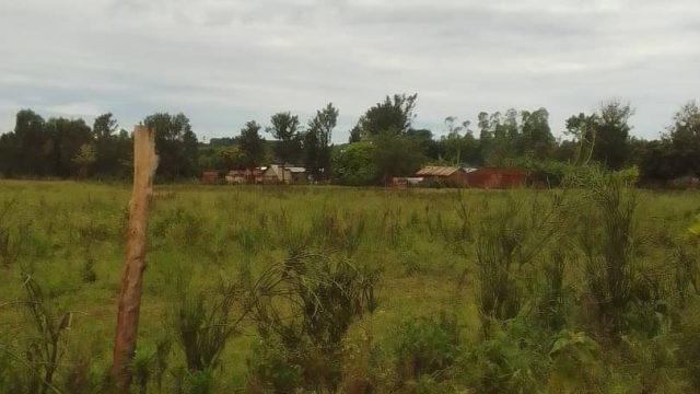 100ft*120ft land for sale in Fika-salama Mbale city