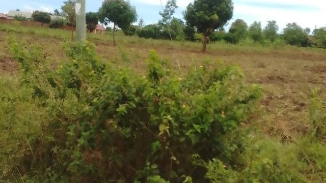 50ft*150ft land for sale in Kabwangasi Town council