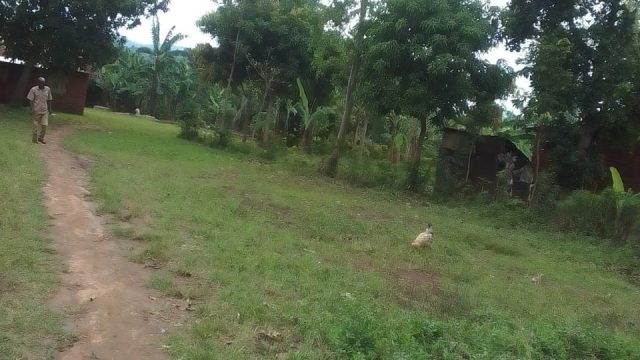 78ft*35ft Plot for sale in in Amus -Bukedea District