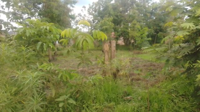 100ft*100ft plot for sale in Namusi, Mbale