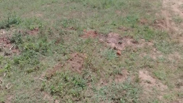 120ft*160ft plot for sale in Siira Busoba Bungokho Mbale city