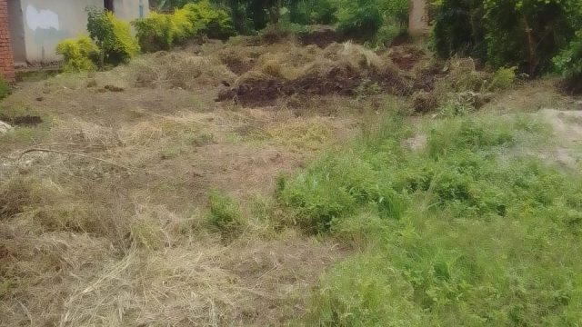 50ft*100ft plot for sale in Namusi Nabumbulu