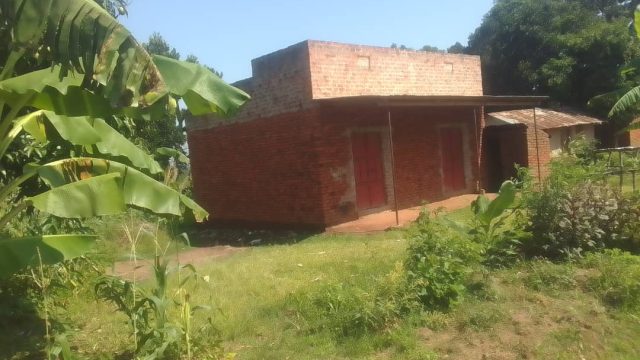 Commercial building on plot of 100ft*100ft in Amus for sale