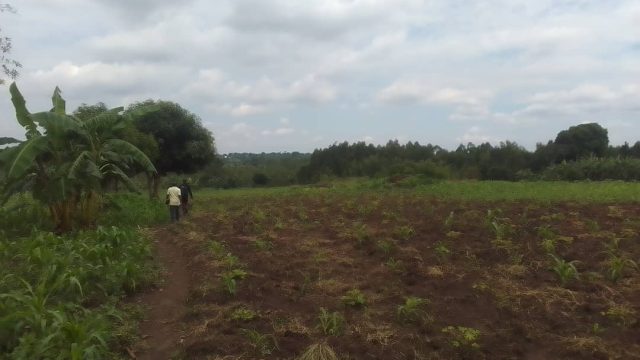 Plot of 120ft*100ft for sale in Amusi near Fika-salama Nakaloke