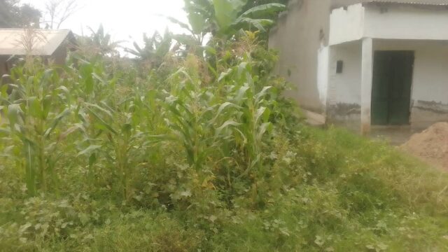 4FT*100FT PLOT FOR SALE IN BUSAJJA BWANKUBA MBALE CITY